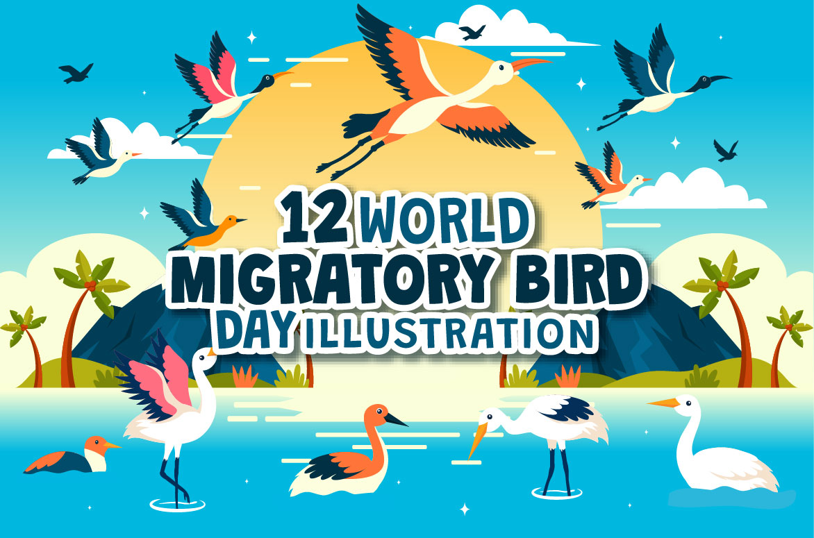 migratory bird 01 979