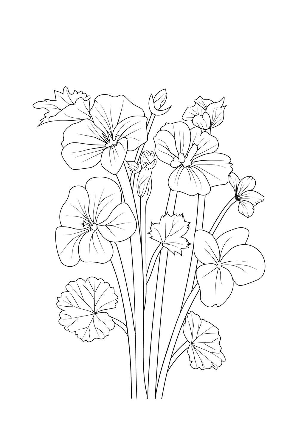 February birth flower, February primrose birth flower, February birth primrose drawings, primula flower drawing pinterest preview image.