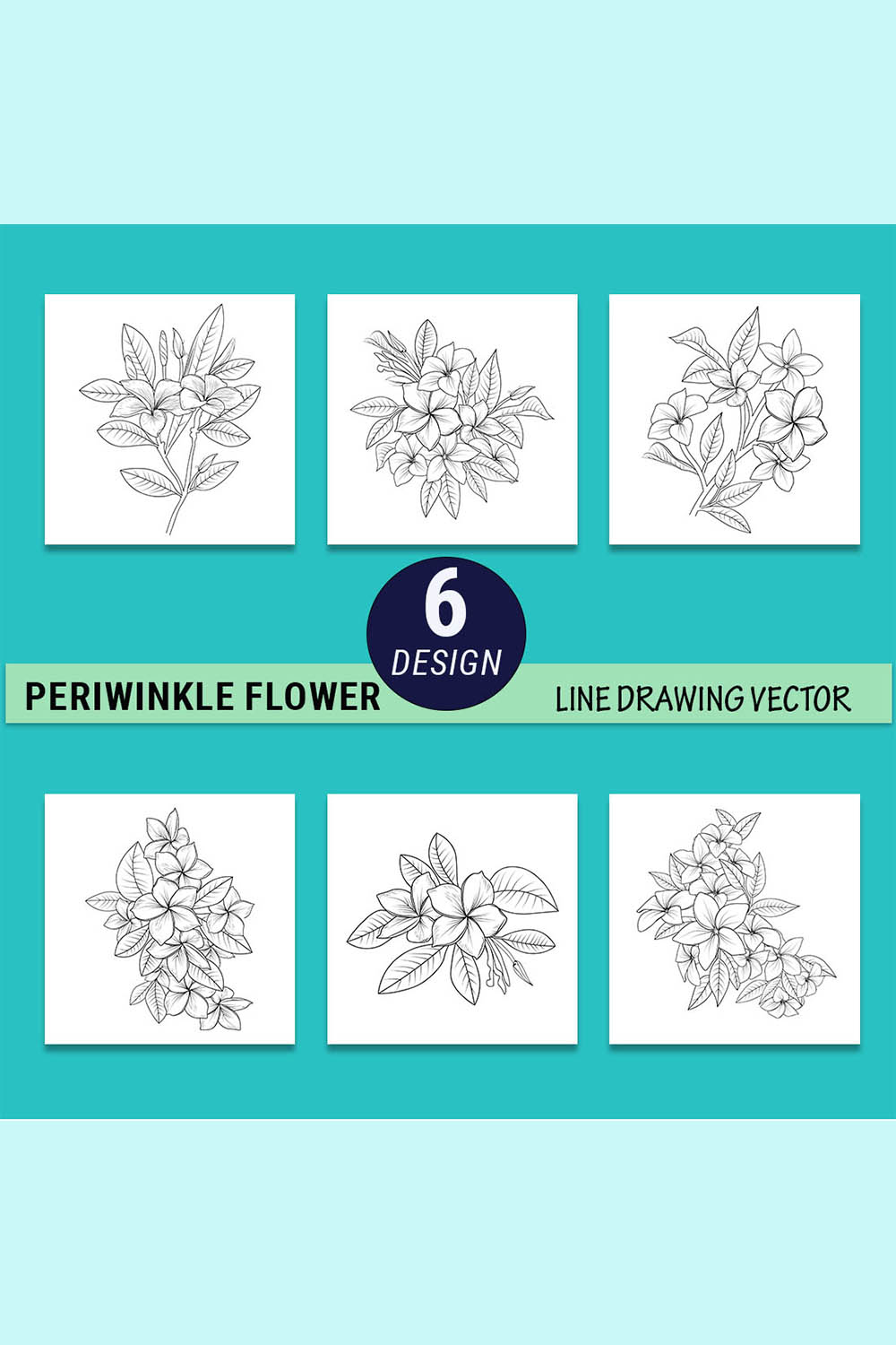 Frangipani flower drawing, vector sketch hand frangipani flower, sketch frangipani flower drawing, realistic frangipani flower drawing, realistic plumeria drawing pinterest preview image.
