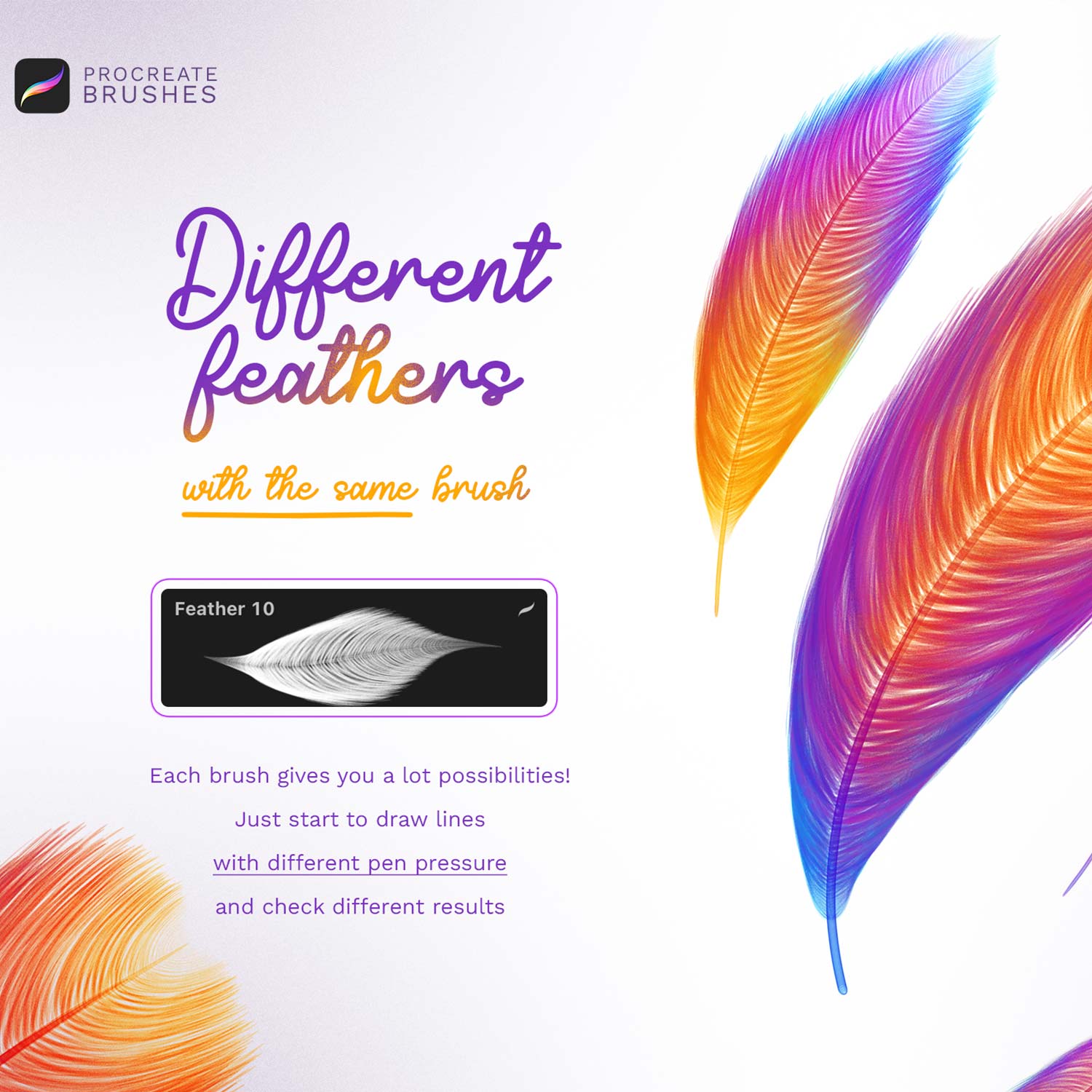Feathers Procreate Brushes preview image.