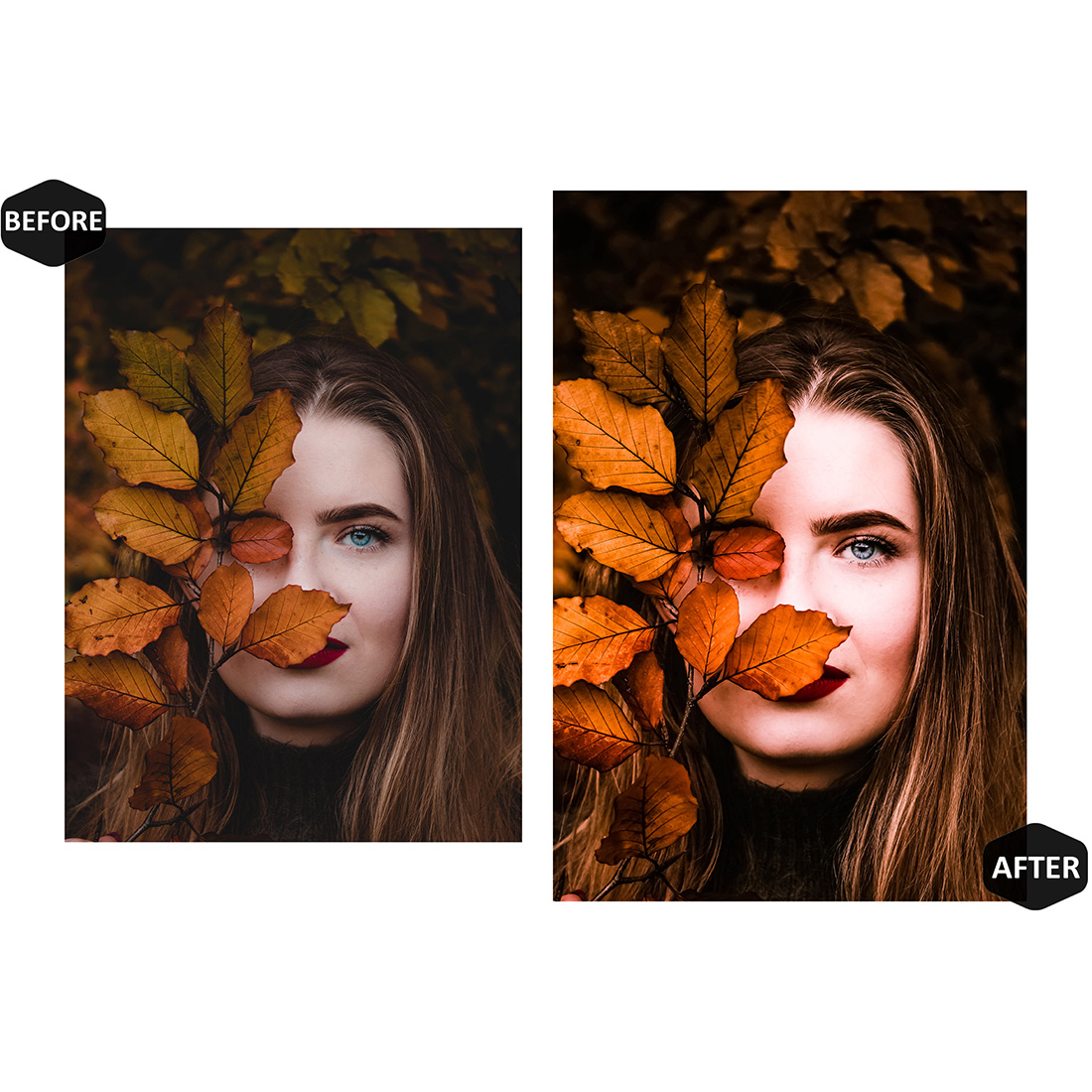 12 Autumn Leaves Lightroom Presets, Fall Mobile Preset, Moody Desktop LR Filter DNG Portrait, Instagram Theme, Yellow scheme, Blogger CC preview image.