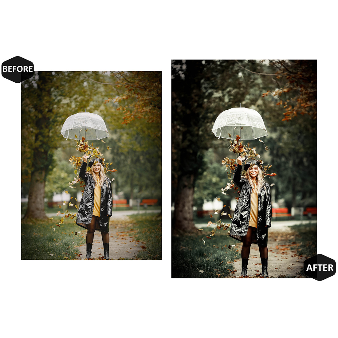 12 Autumn Rustle Lightroom Presets, Moody Mobile Editing, Beauty Aesthetic Desktop LR Filter DNG Portrait Instagram Theme, Aqua Hues, Blogger CC preview image.