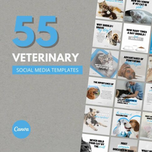 55 Veterinary Canva Templates For Social Media cover image.