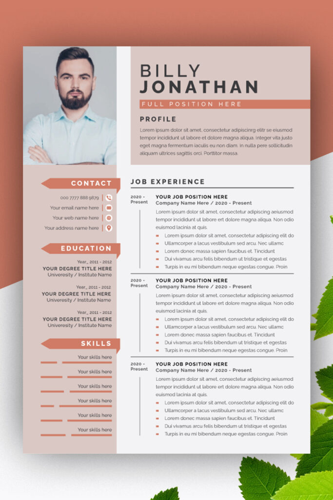 Professional Colour Resume Template Design - MasterBundles