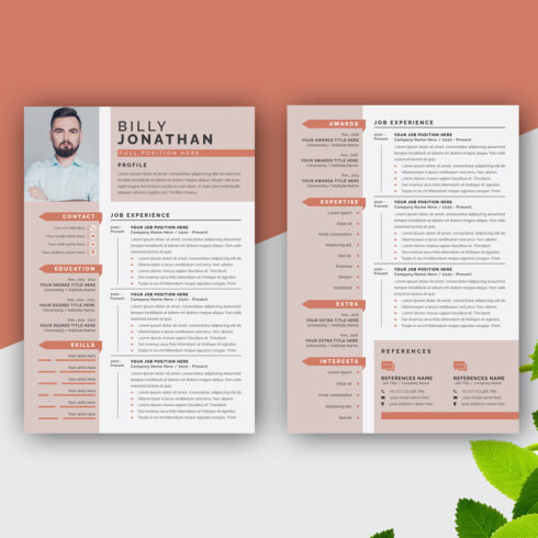 Professional Colour Resume Template Design - MasterBundles