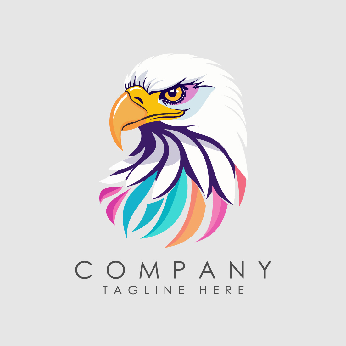 Eagle head logo vector illustration Mascot head of an Eagle preview image.
