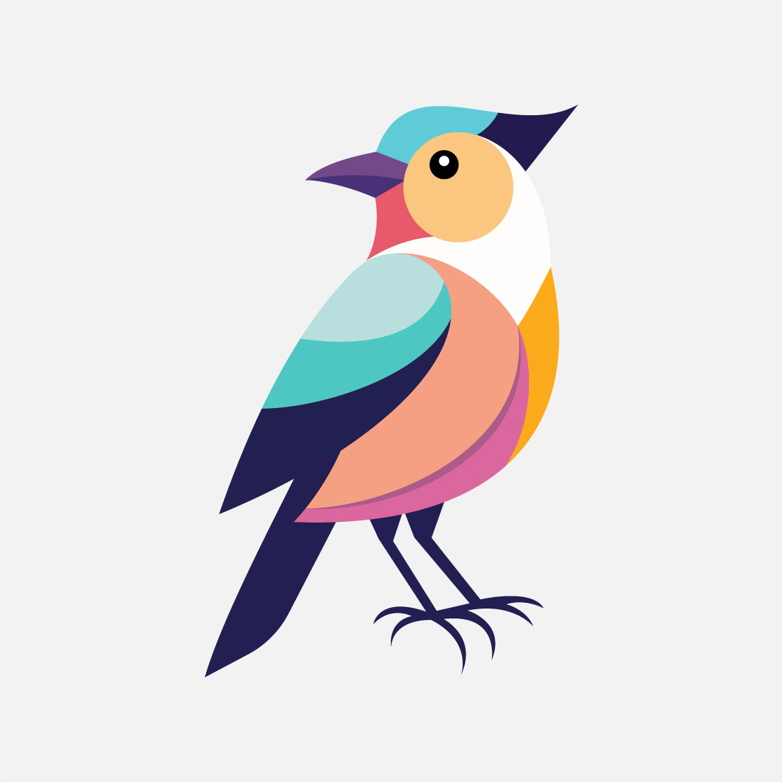 Beautiful multi colored bird Bird logo design vector illustration preview image.
