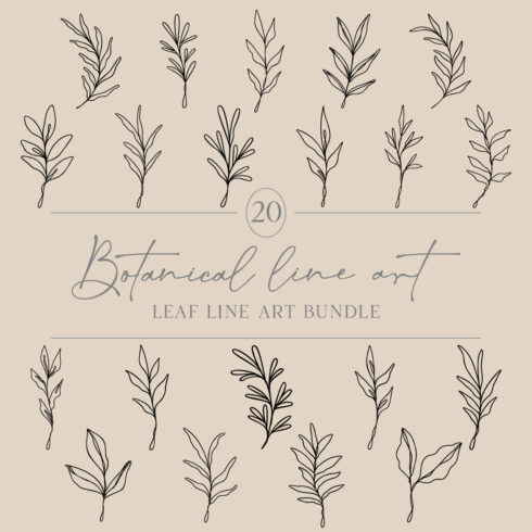 Leaf Line Art Bundle | Set Of 20 Drawn Leaves | Botanical Vector Illustrations | Decorative Foliage Designs | Leafy Nature Plant Artwork cover image.