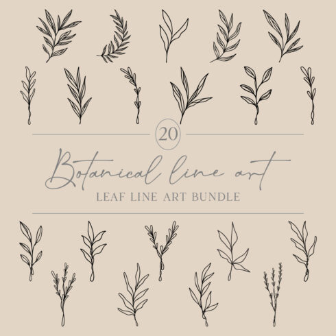 Leaf Line Art Bundle | Set Of 20 Drawn Leaves | Botanical Vector Illustrations | Decorative Foliage Designs | Leafy Nature Plant Artwork cover image.