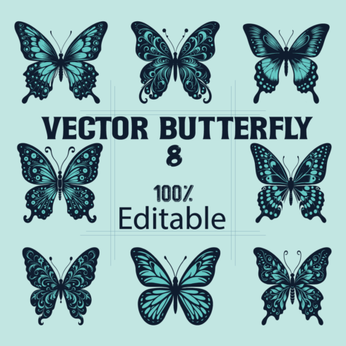 Butterfly vector artwork cover image.