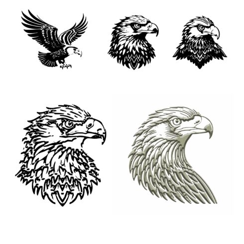 egel line artwork vector  eagle head line drawing cover image.