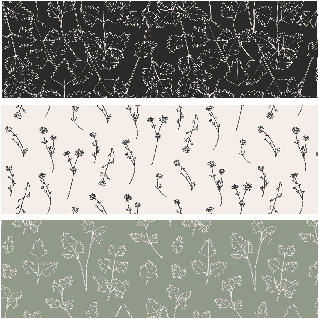 Herbs Patterns Illustrations preview image.