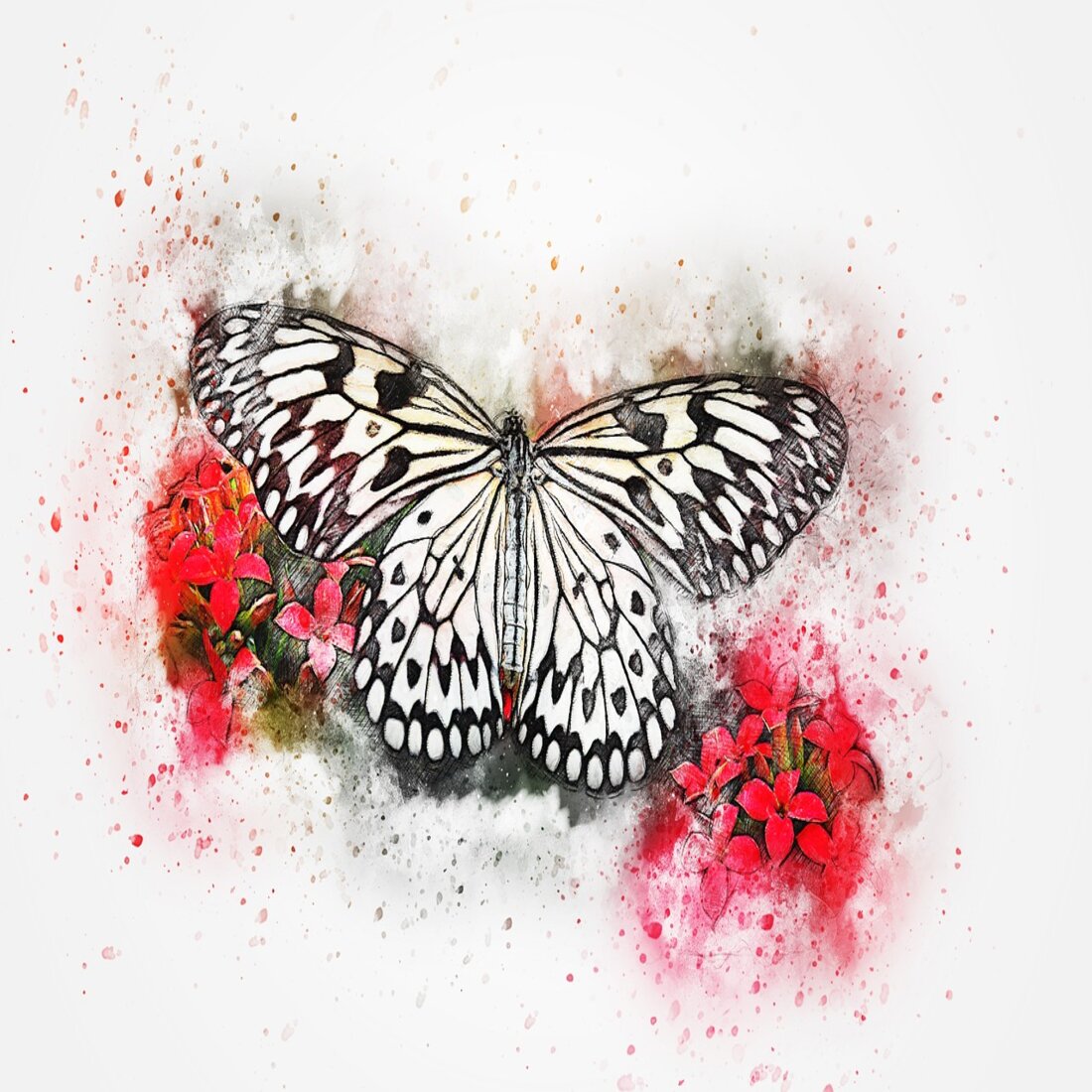 Butterfly preview image.