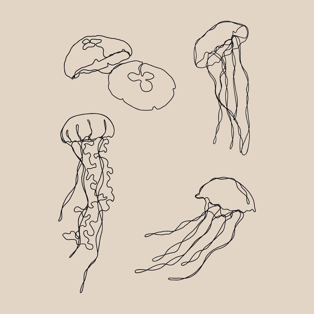 Jellyfish Line Art Bundle Of 6 | Continuous Line Vector Ocean Animals preview image.