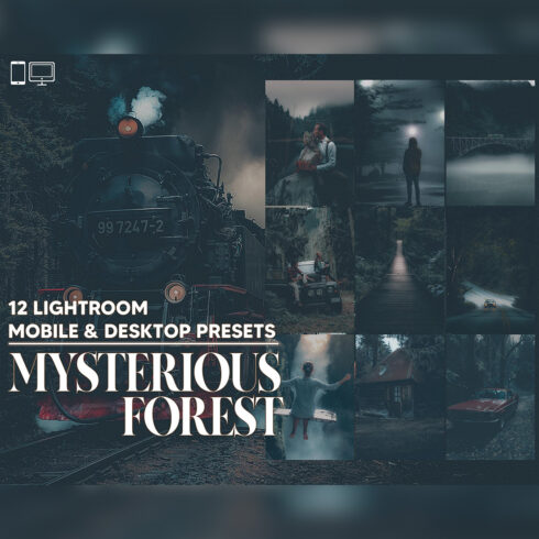 12 Mysterious Forest Lightroom Presets, Dreamy Moody Mobile Preset, Cloudy Desktop LR Filter DNG Instagram Lifestyle Theme, Portrait , Scheme cover image.
