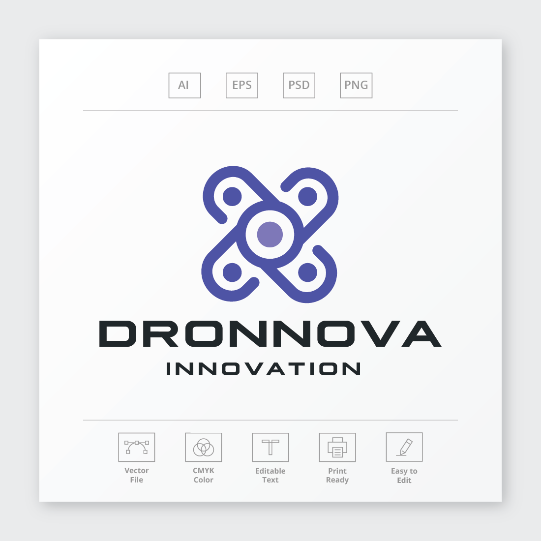 Drone Innovation Logo preview image.