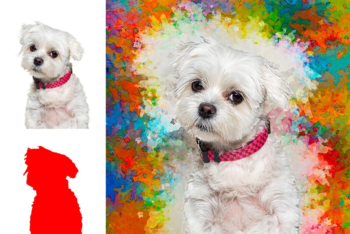 puppy photo to colorful abstract painting 07 1 293