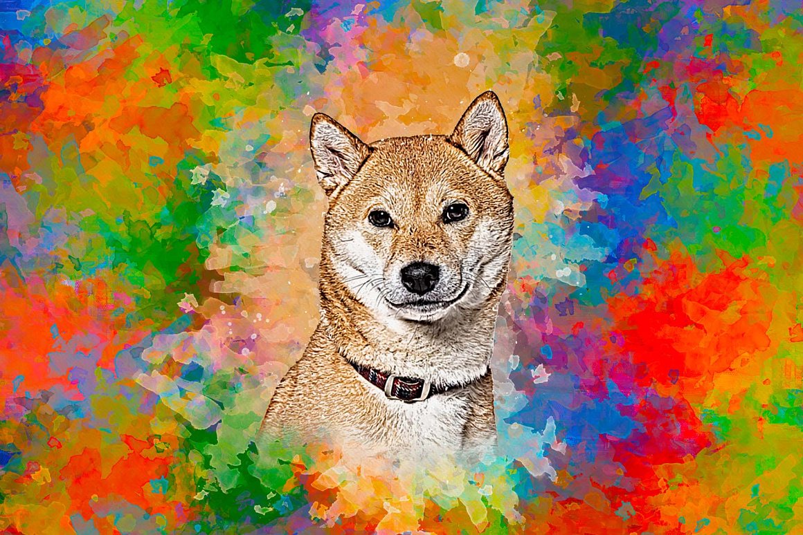 puppy photo to colorful abstract painting 11 665