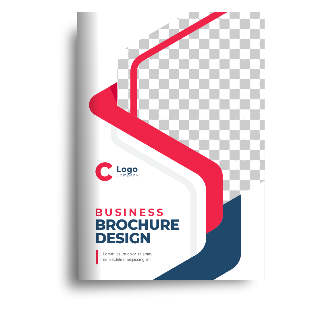 7 Type Creative Brochures ~ new Branded Printable Brochure preview image.