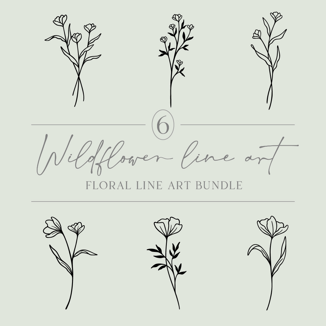 Flower Line Art Bundle | 6 Elegant Wildflowers | Botanical Floral Vector Illustration Set | Leafy Garden Plant Designs cover image.