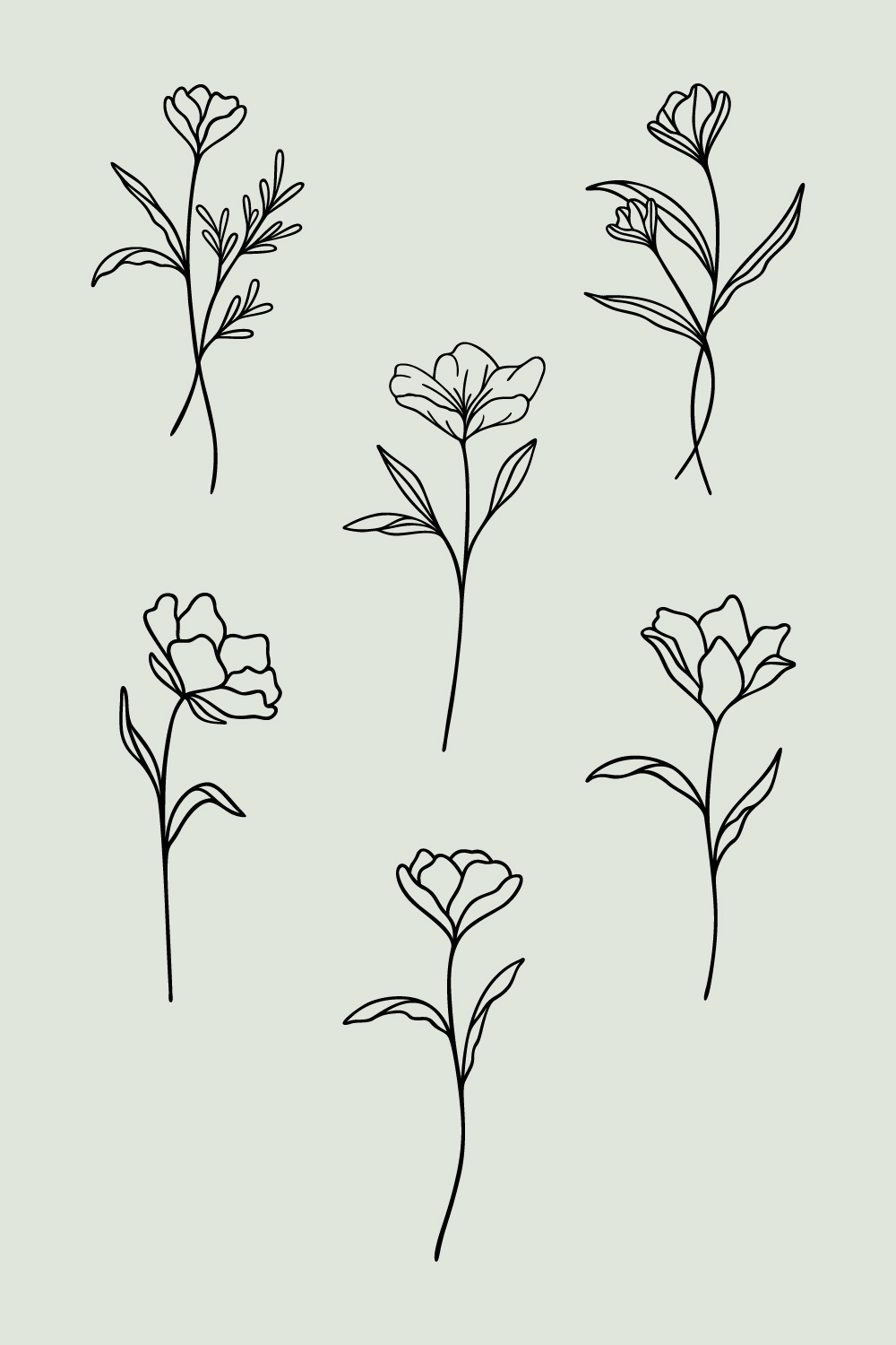 Flower Line Art Bundle | 6 Elegant Wildflowers | Botanical Floral Vector Illustration Set | Leafy Garden Plant Designs pinterest preview image.