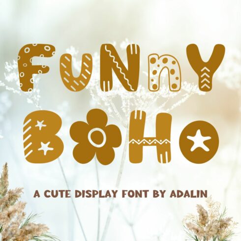 Funny Boho - Display Font cover image.
