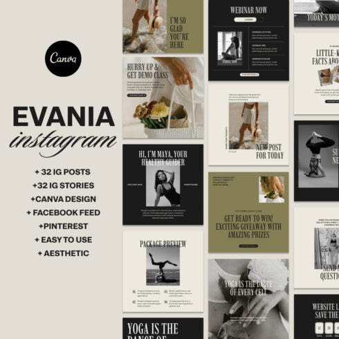 Canva Instagram Templates For Coaches cover image.