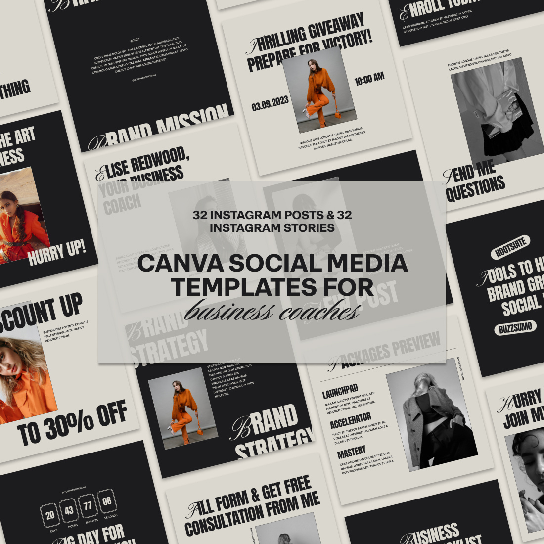 Canva Instagram Templates For Business Coaches and Course Creators preview image.