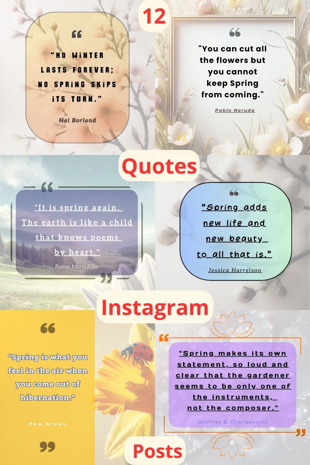 Quotes Instagram Posts Set Of Quotes About Spring For Instagram Posts pinterest preview image.
