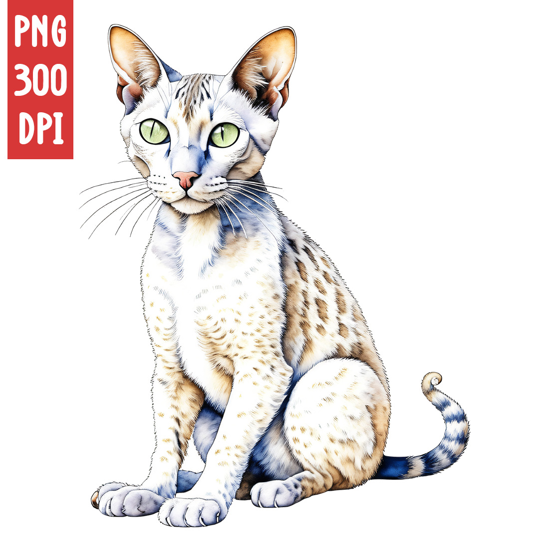 Cute Cat Clipart | Animals Clipart | PNG preview image.