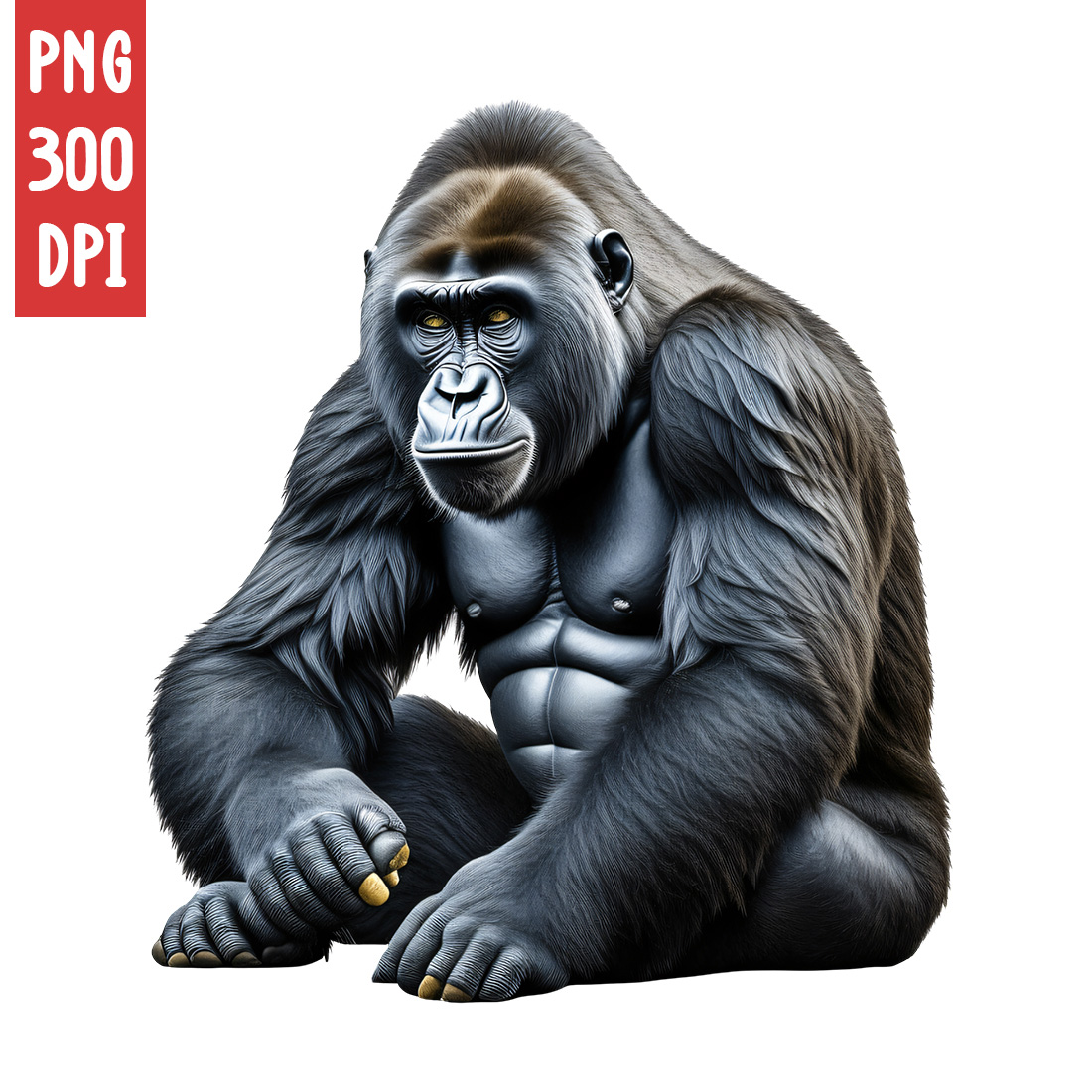 Gorilla Clipart | Animals Clipart | PNG preview image.