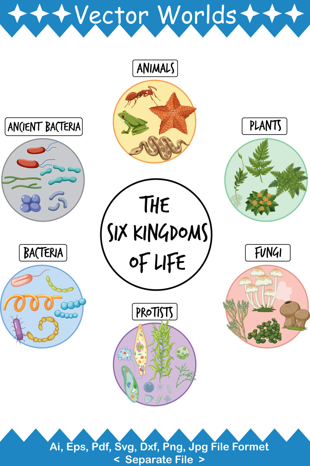 Kingdoms Of Life SVG Vector Design pinterest preview image.