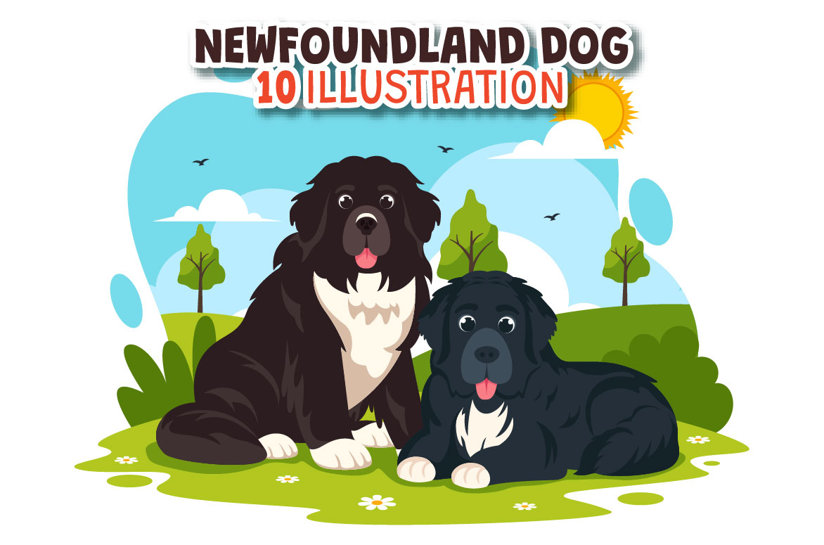 newfoundland dog 01 980