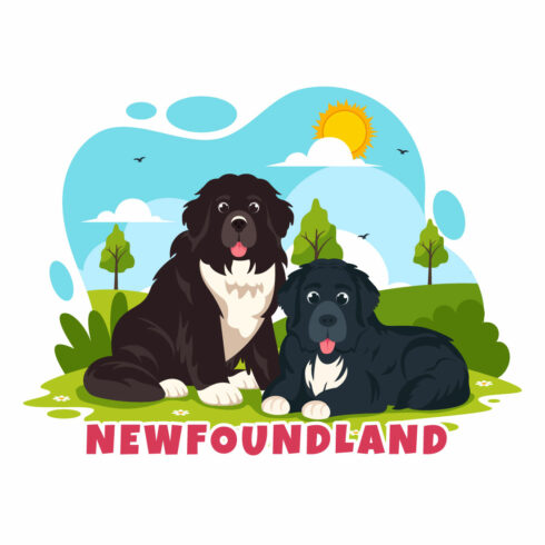 10 Newfoundland Dog Illustration cover image.
