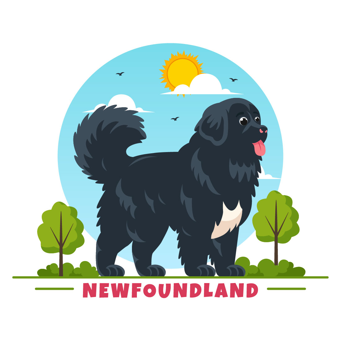10 Newfoundland Dog Illustration preview image.