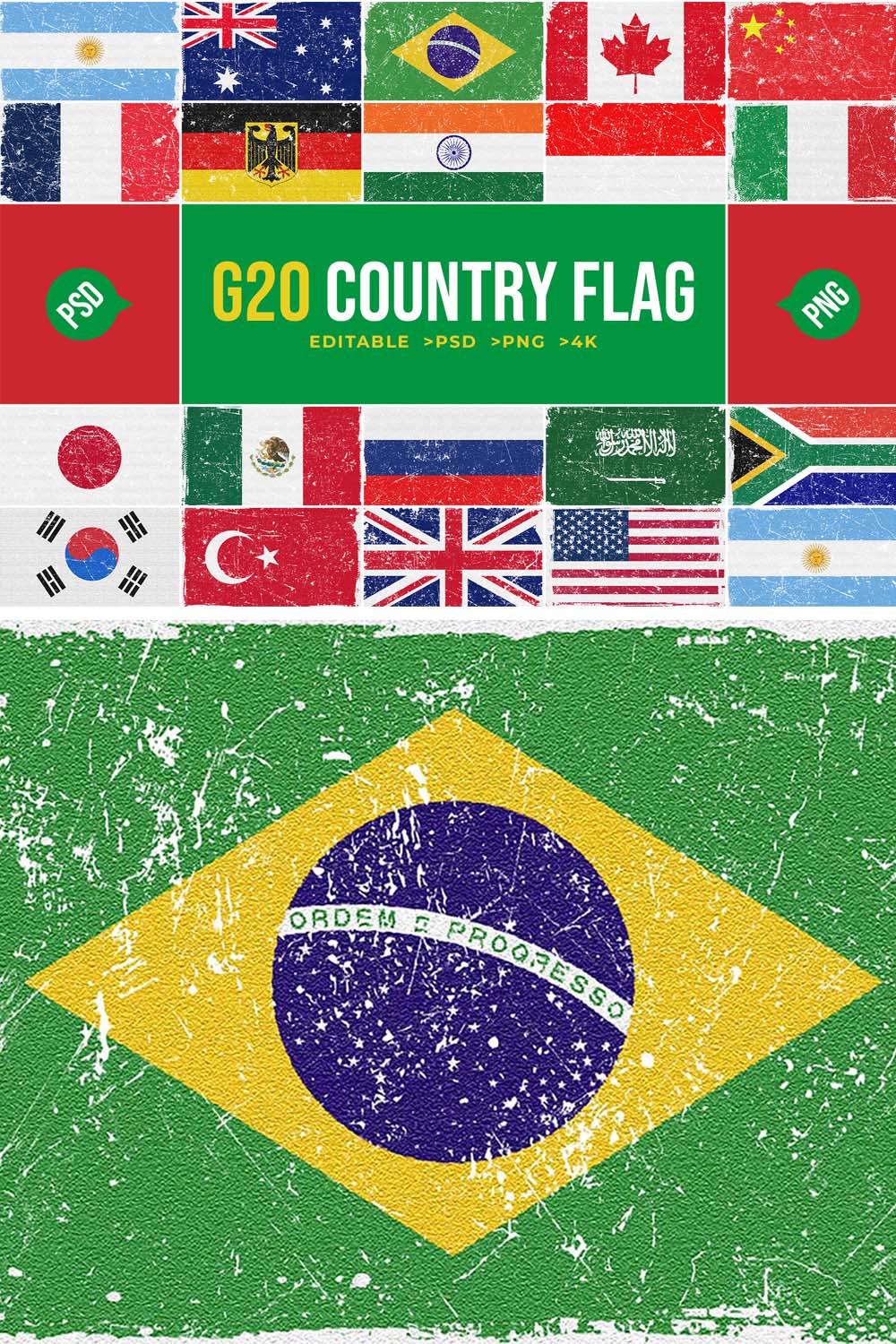 G20 All Country Flag pinterest preview image.