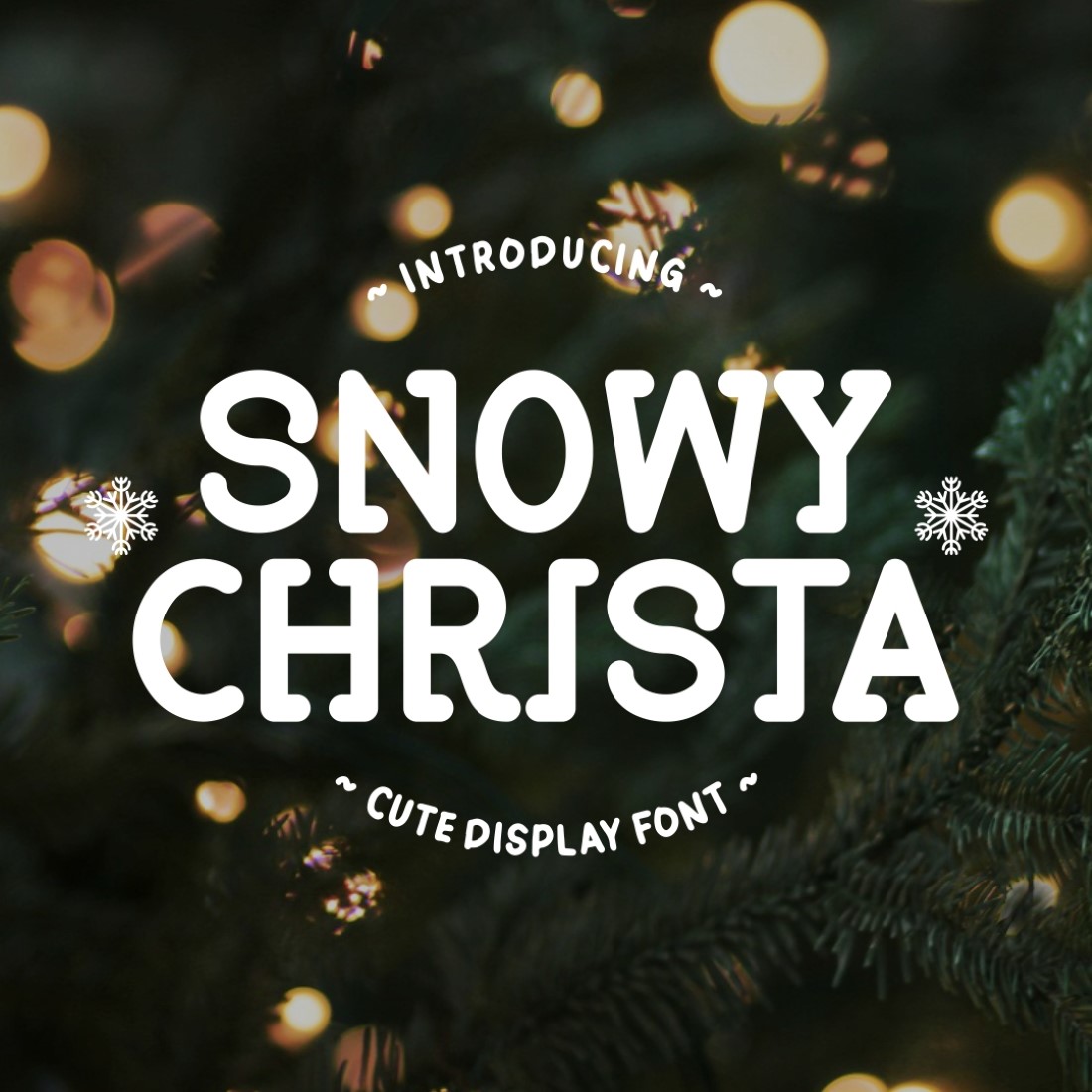 Snowy Christa - Cute Display Font preview image.