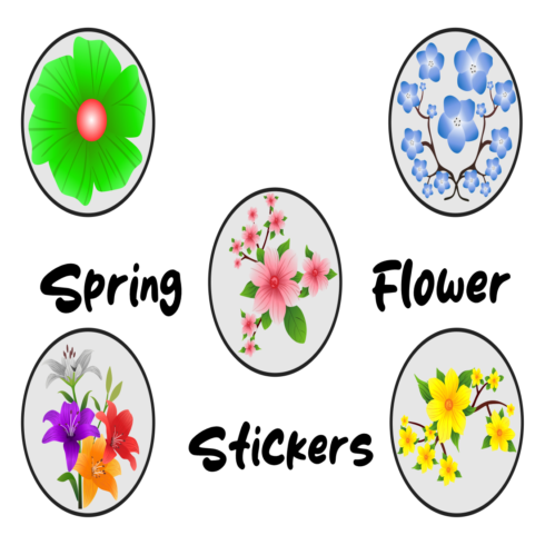 spring flowers in bloom cover image.