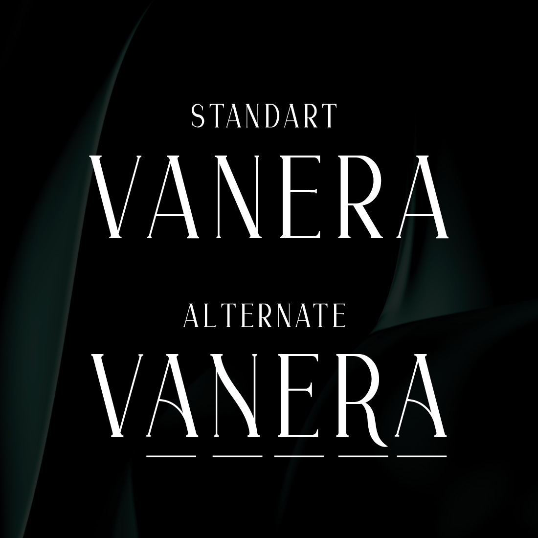 Vanera - Modern Serif Font preview image.