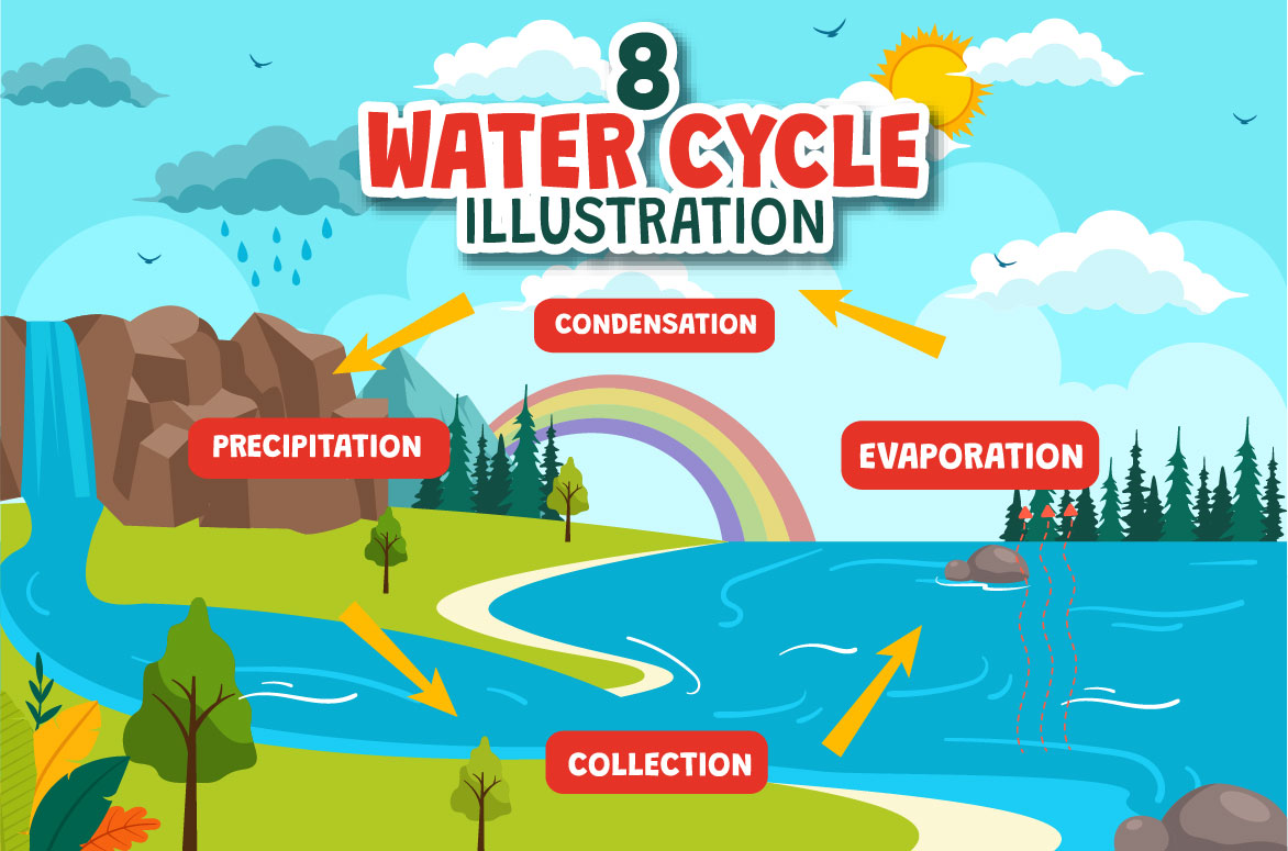 water cycle 01 876
