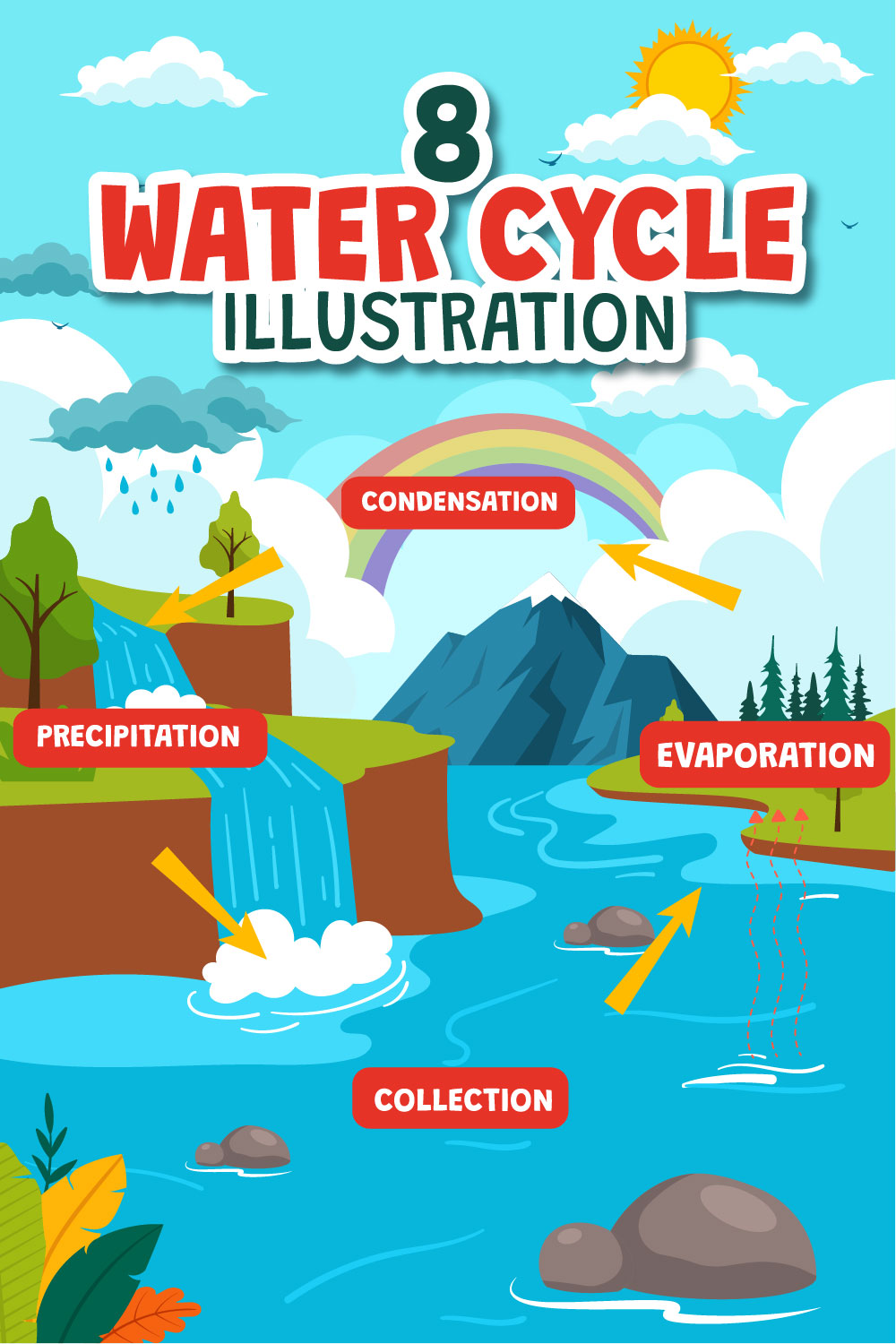 8 Water Cycle Illustration pinterest preview image.