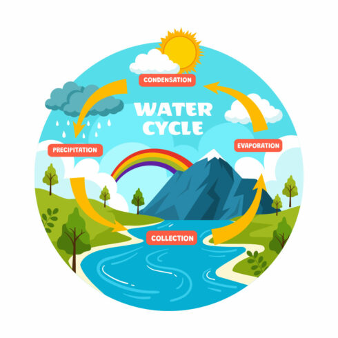 8 Water Cycle Illustration cover image.