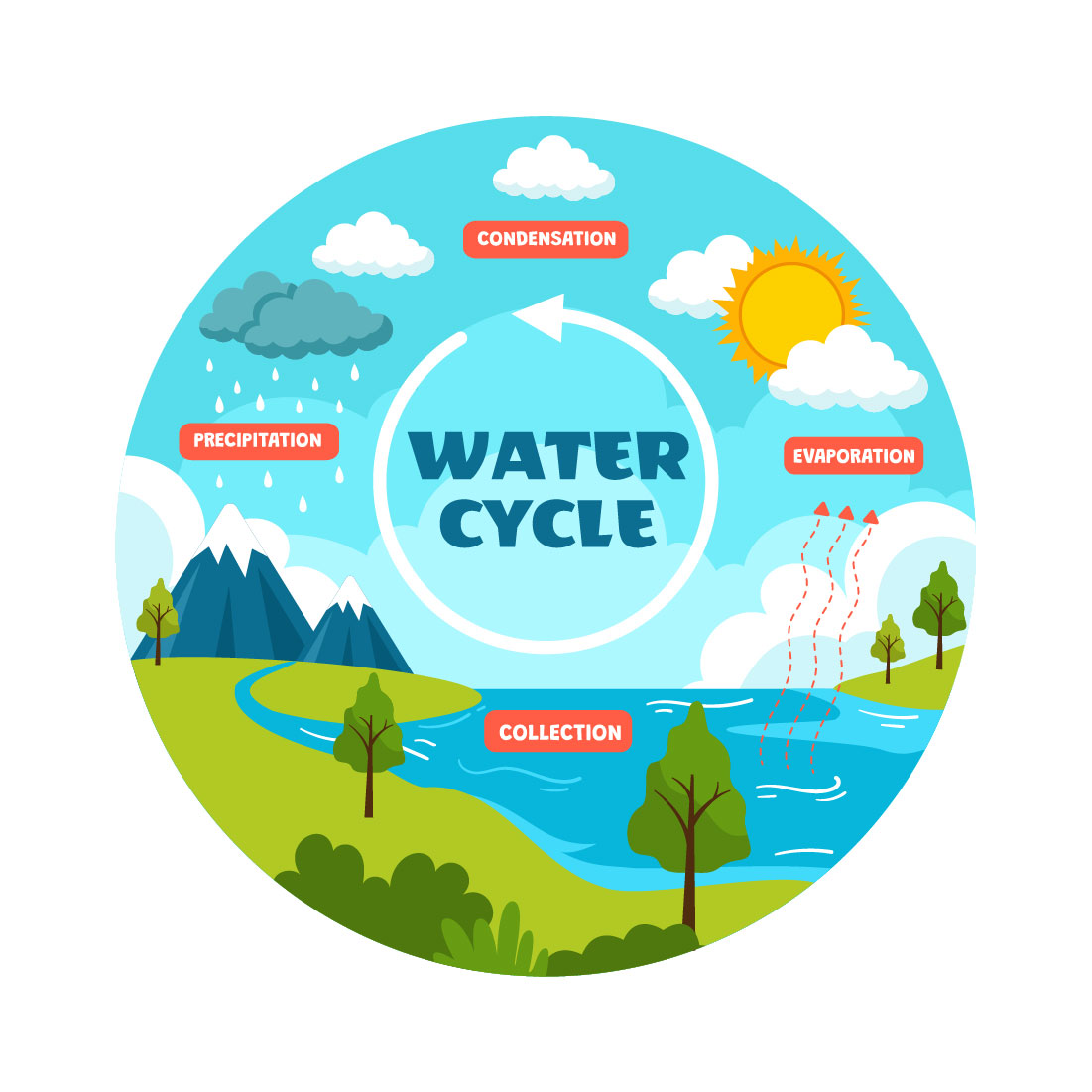 8 Water Cycle Illustration preview image.