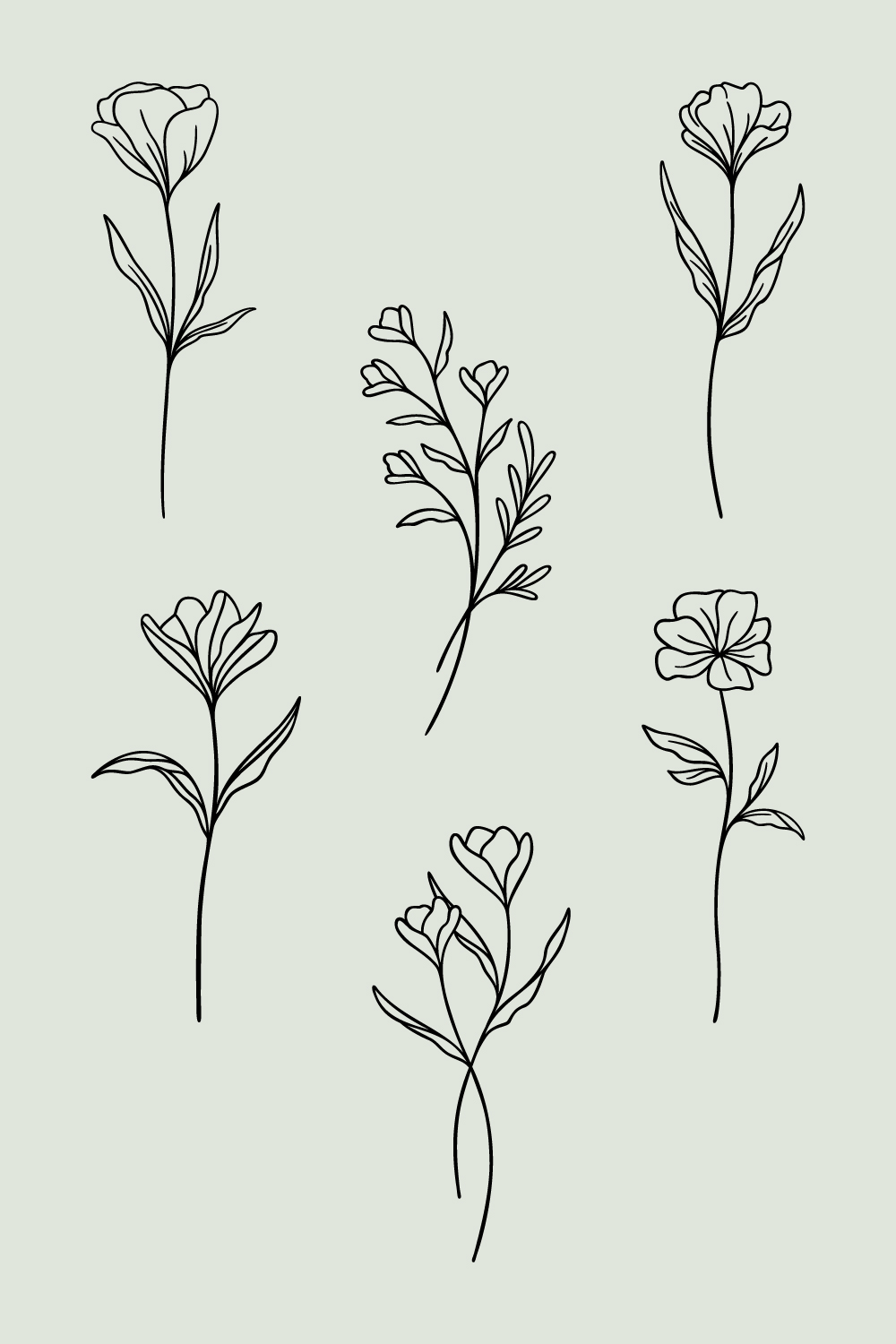 Flower Line Art Bundle | 6 Elegant Wildflowers | Botanical Floral Vector Illustration Set | Leafy Garden Nature Designs pinterest preview image.