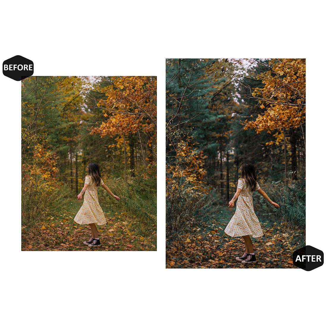 12 Sweet Autumn Lightroom Presets, Woodland Preset, Fall Moody Desktop LR Filter DNG Lifestyle Theme For Blogger Portrait Instagram preview image.