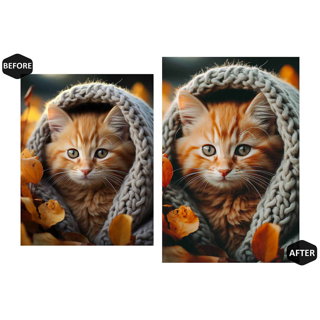 12 Colors of Autumn Lightroom Presets, Black Nature Mobile Preset, Moody Desktop LR Filter Lifestyle Theme For Blogger Portrait Instagram preview image.