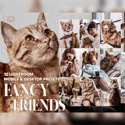 12 Fancy Friends Lightroom Presets, Animal Mobile Preset, Pet Desktop LR Lifestyle DNG Instagram Bright Filter Theme Portrait Season Doggie cover image.