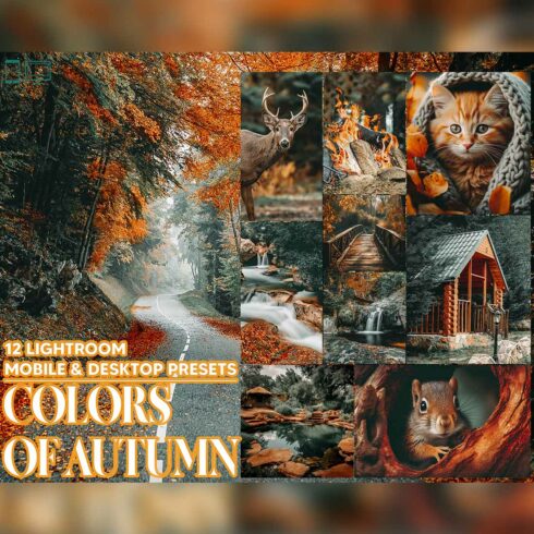 12 Colors of Autumn Lightroom Presets, Black Nature Mobile Preset, Moody Desktop LR Filter Lifestyle Theme For Blogger Portrait Instagram cover image.