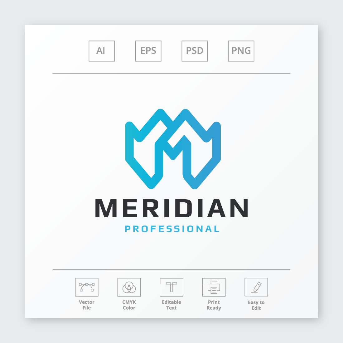 Meridian Letter M Logo preview image.