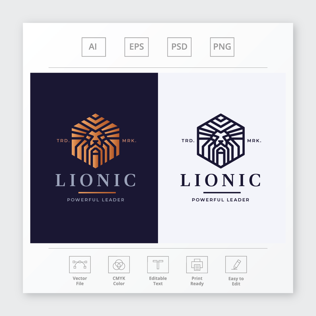 Lionic Lion Head Logo cover image.